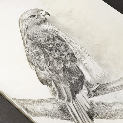 Koh-I-Noor 11" x 17" Bristol Vellum Bright White Paper Pad with In and Out Pages, 270 GSM, Side Wire-Bound, 20 Sheets per Pad (26170401513)