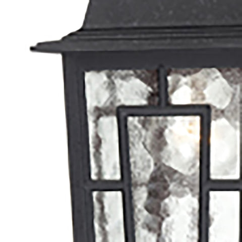 Nuvo Lighting 60/4933 Banyon One Light Hanging Lantern 100 Watt A19 Max. Clear Water Glass Textured Black Outdoor Fixture