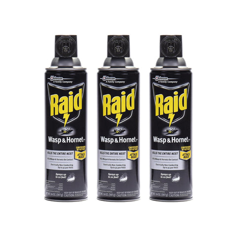 Raid Wasp and Hornet Killer Spray, 14 oz(pack of 3)