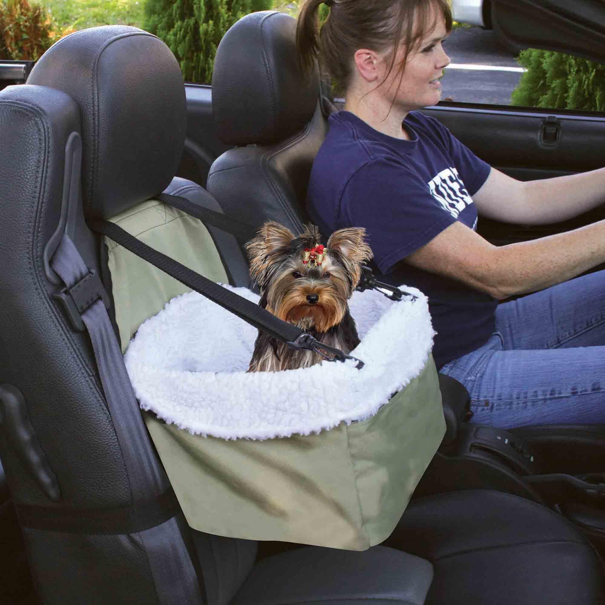 Etna Pet Booster Seat