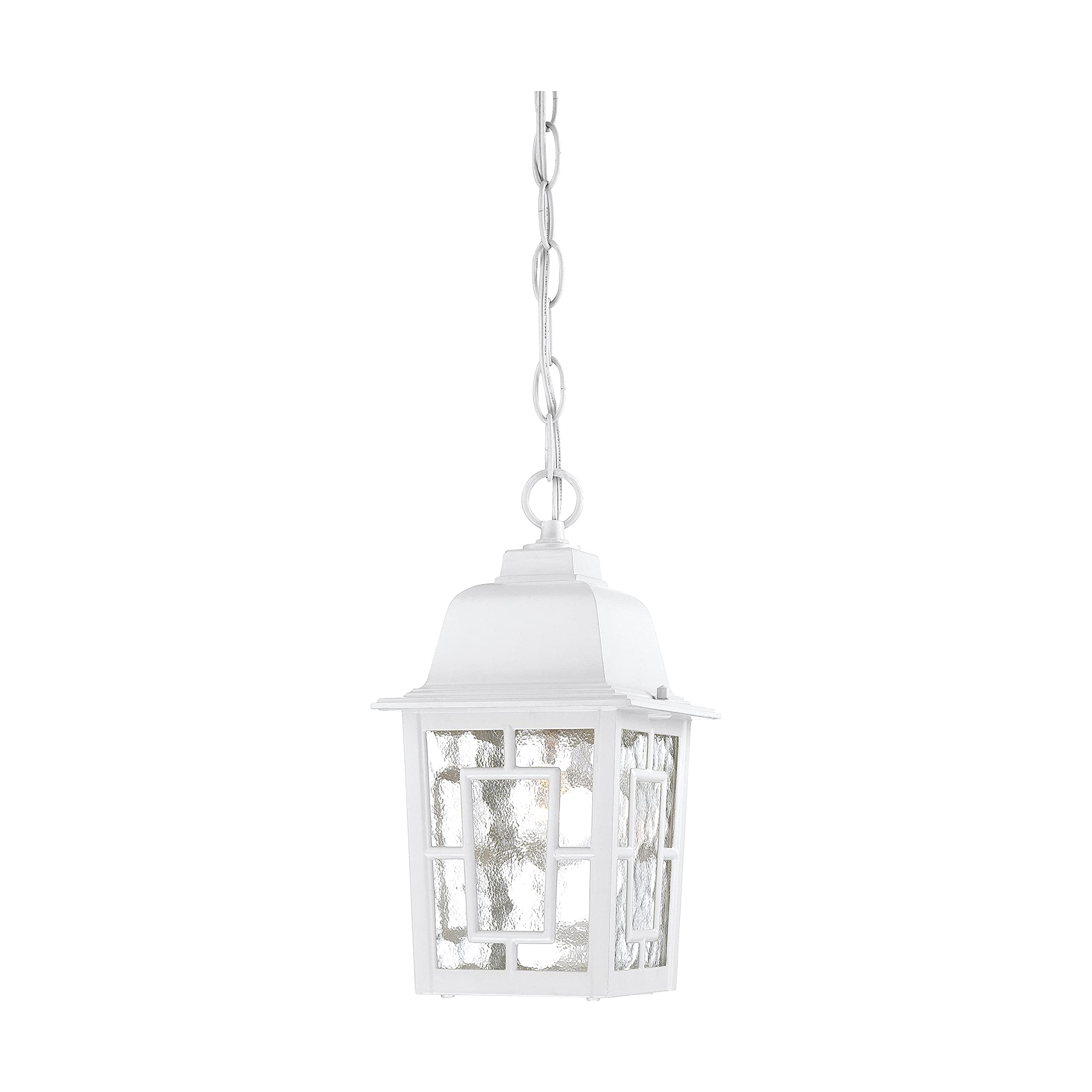 Nuvo Lighting 60/4931 Banyon One Light Hanging Lantern 100 Watt A19 Max. Clear Water Glass White Outdoor Fixture