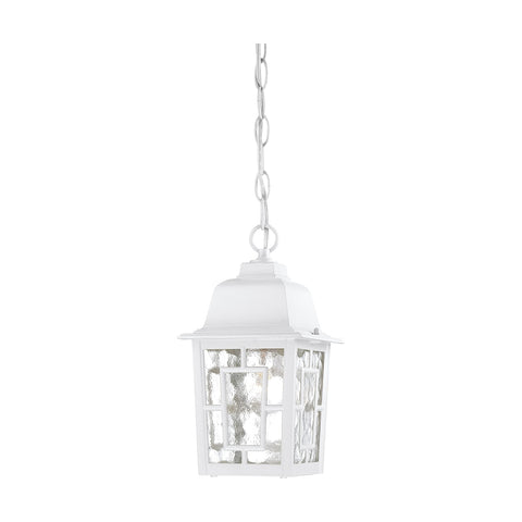 Nuvo Lighting 60/4931 Banyon One Light Hanging Lantern 100 Watt A19 Max. Clear Water Glass White Outdoor Fixture