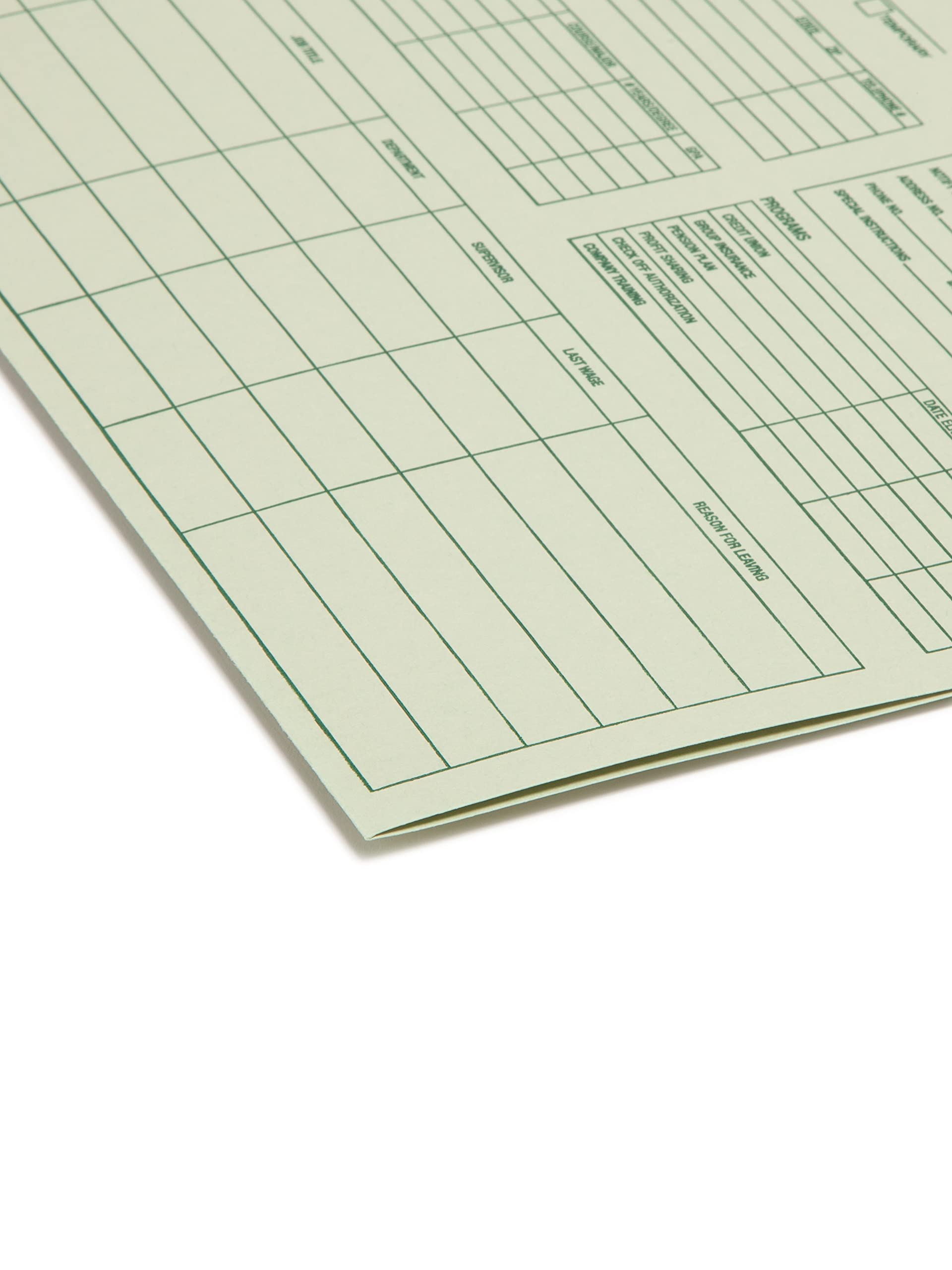 Smead Employee Record File Folder, Straight-Cut Tab, Letter Size, Moss, 20 per Pack (77000)