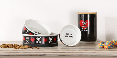 Bone Dry Ceramic Food & Water Bowls for Pets Non-Slip for Secure, Less Messy Feeding, Microwave & Dishwasher Safe, Small Set, 4.25x2, Bad to The Bone, 2 Count