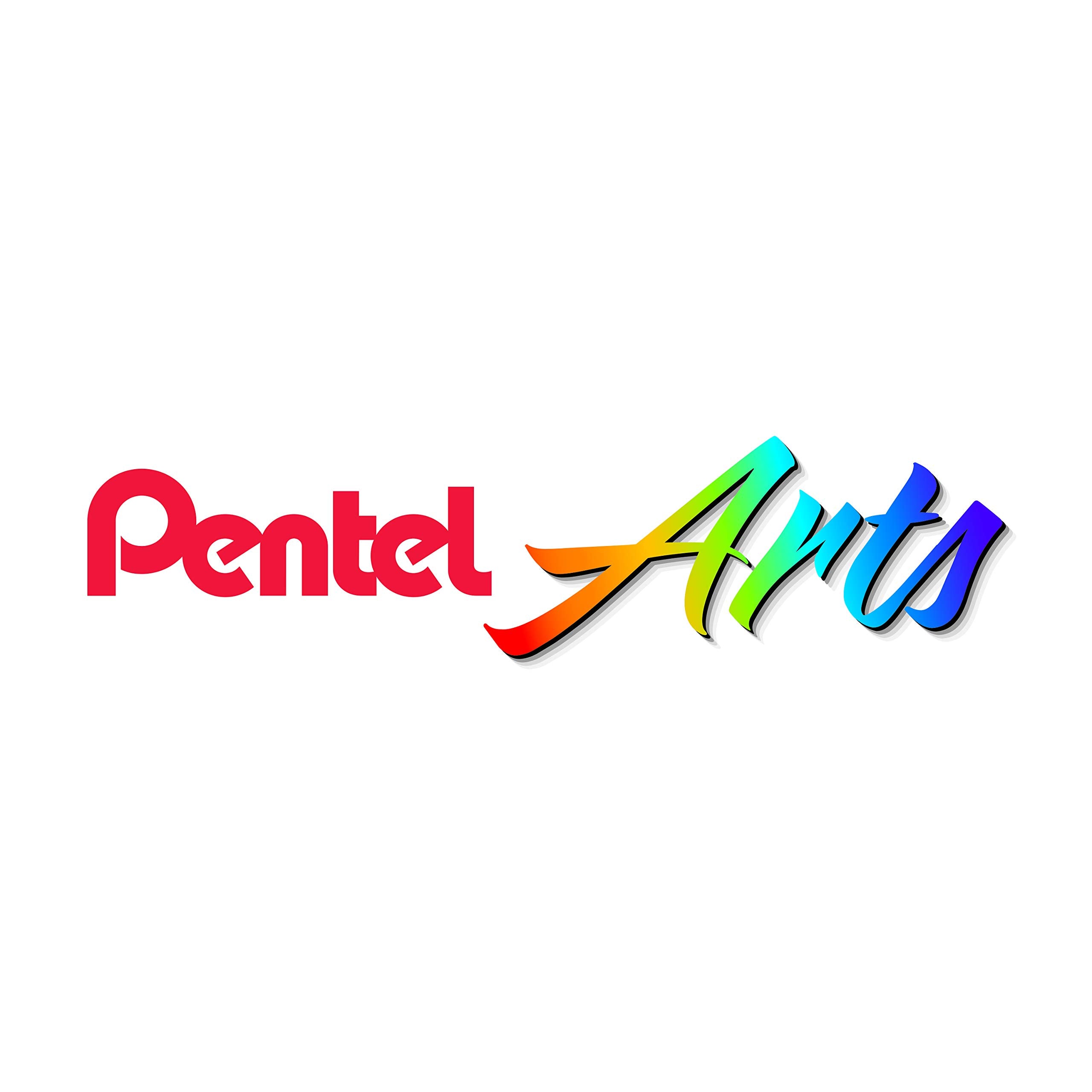 Pentel Arts Aquash Water Brush Fine Point Large 1-PK (FRHBBP)