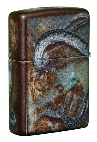Zippo Pirate Coin 540 Color Pocket Lighter