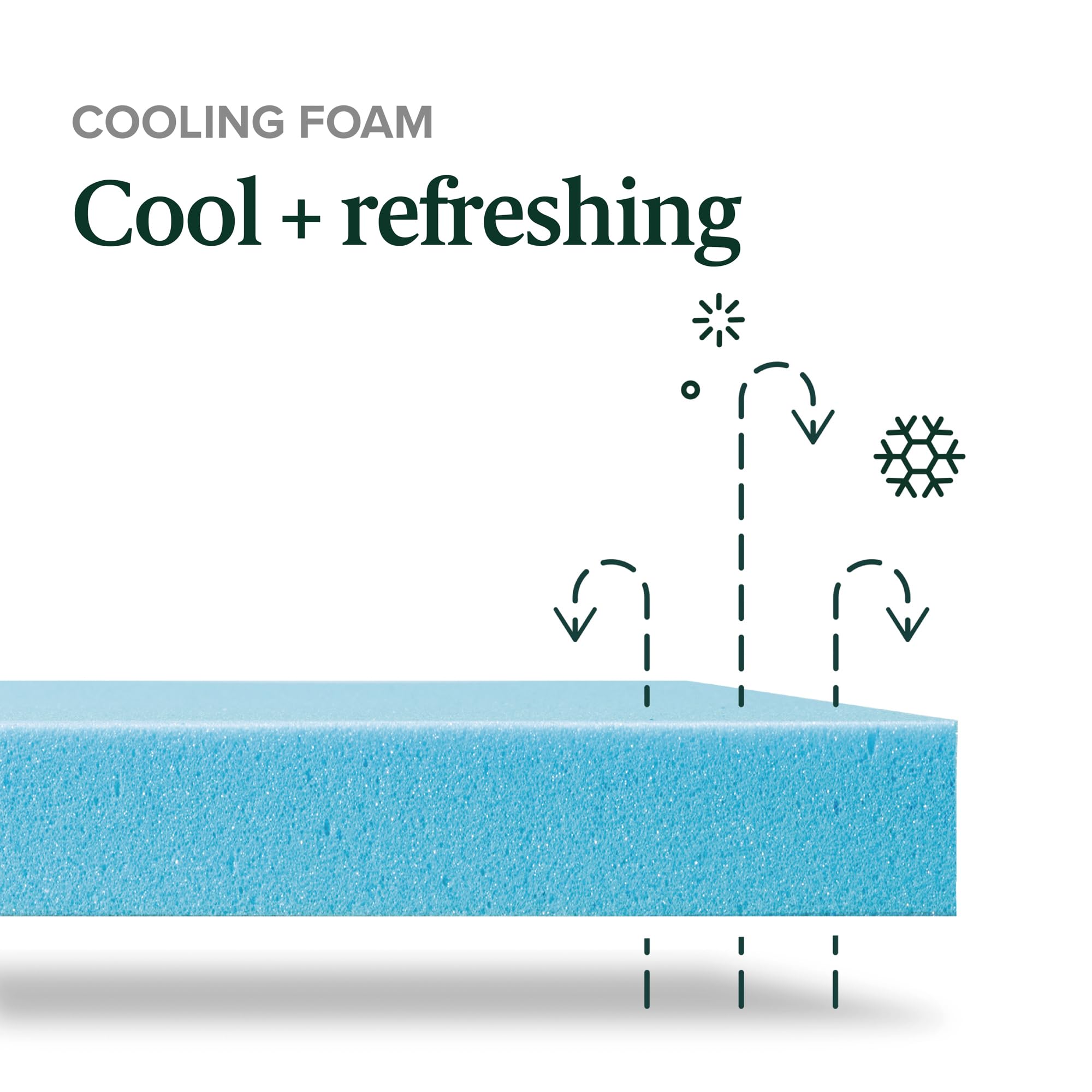 Zinus 6 Inch Green Tea Cooling Memory Foam Mattress [New Version], Short Queen, Fiberglass Free, Medium Firmness, Cooling Gel Foam, Certified Safe Foams & Fabric, Mattress in A Box