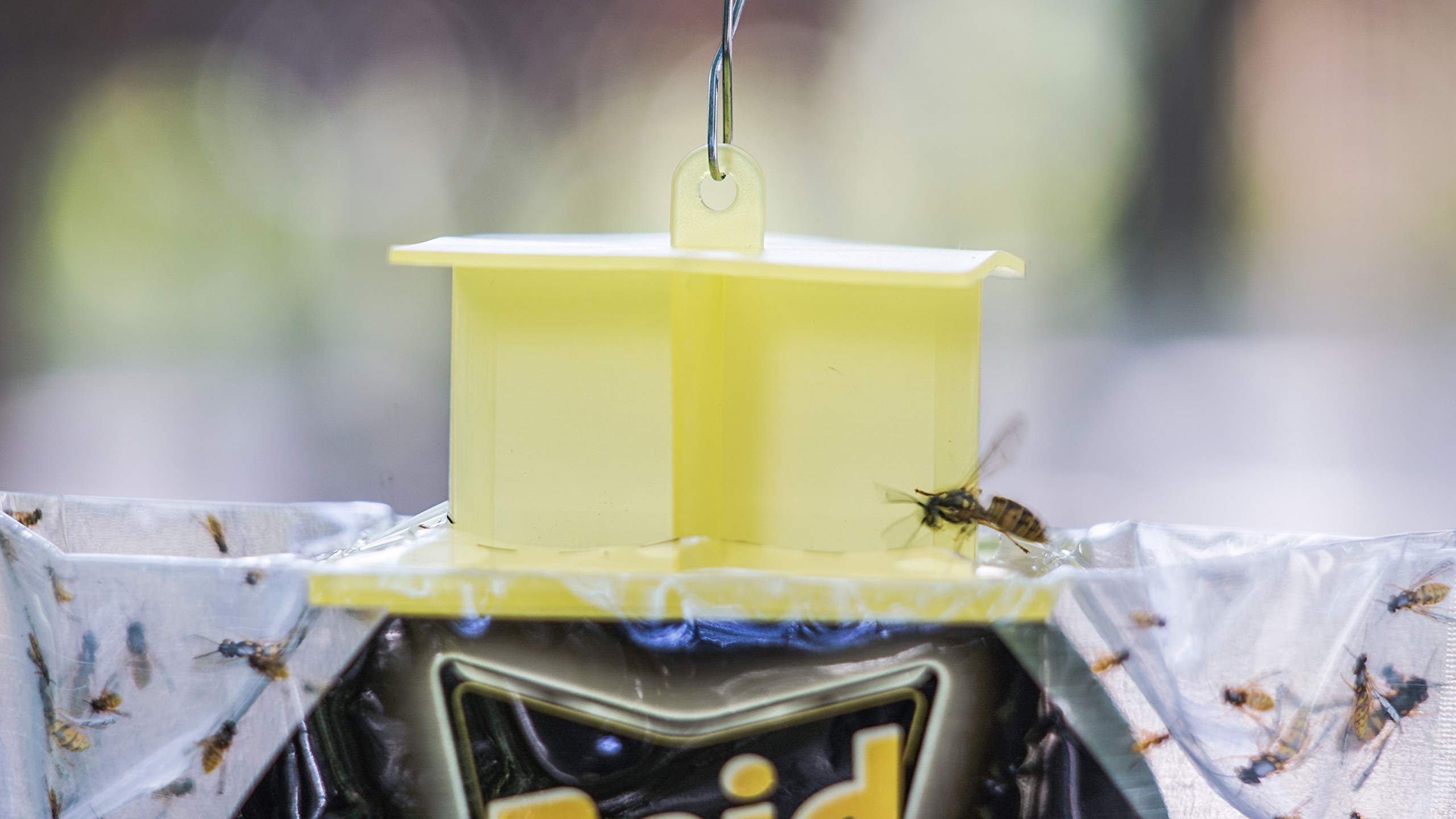 Raid Yellow Jacket, Wasp & Hornet Trap, 3 Pack, Disposable, Convenient, Hanging Fly Trap Bags with Food-Based Lure, No-Spray Outdoor Fly Traps Suitable Defense for Yards, Patios & Campsites