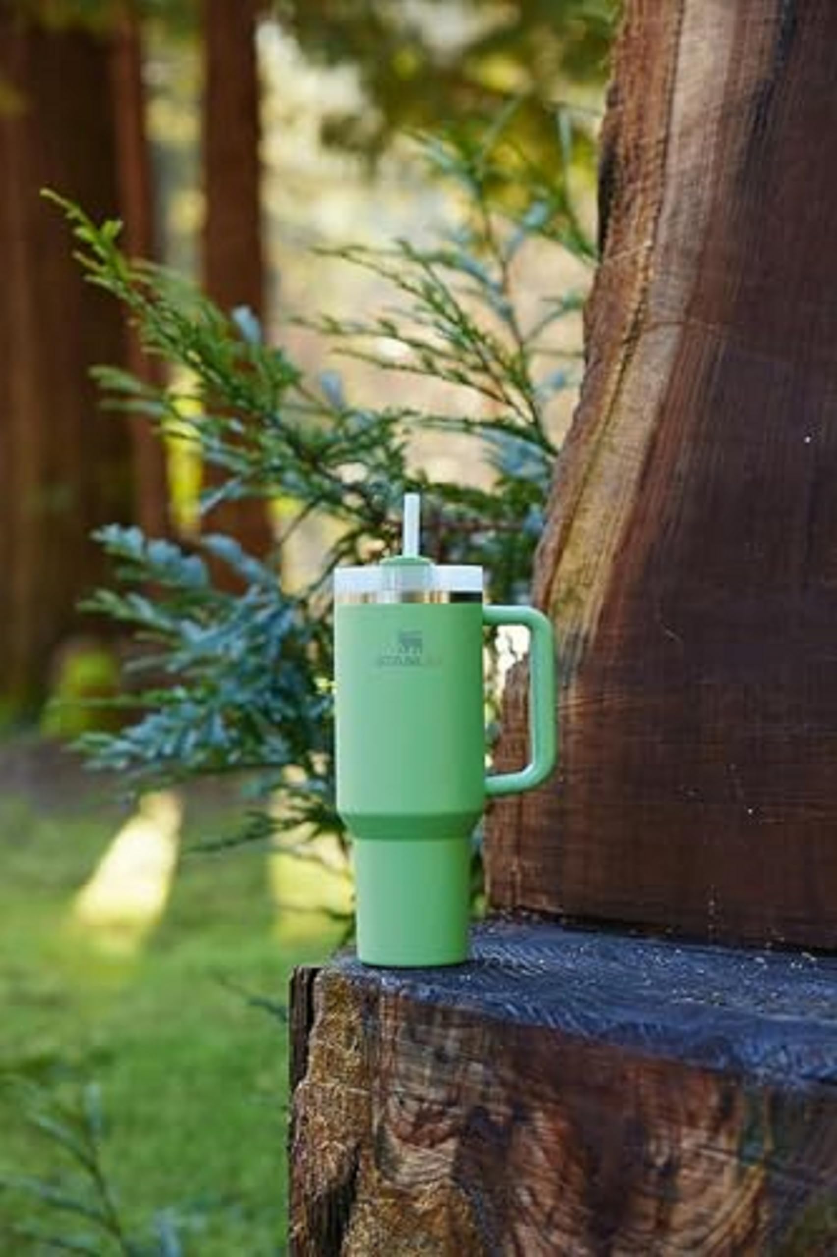 STANLEY Quencher H2.0 Tumbler with Straw 40 oz | Flowstate 3-Position Lid | Cup Holder Compatible for Travel | Insulated Stainless Steel Cup | BPA-Free | Jade