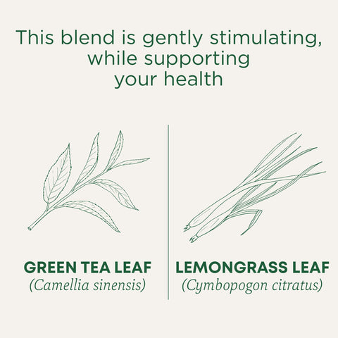 Traditional Medicinals Tea, Organic Green Tea Lemongrass - Supports Everyday Wellness - Kosher, Non-GMO -16 Tea Bags
