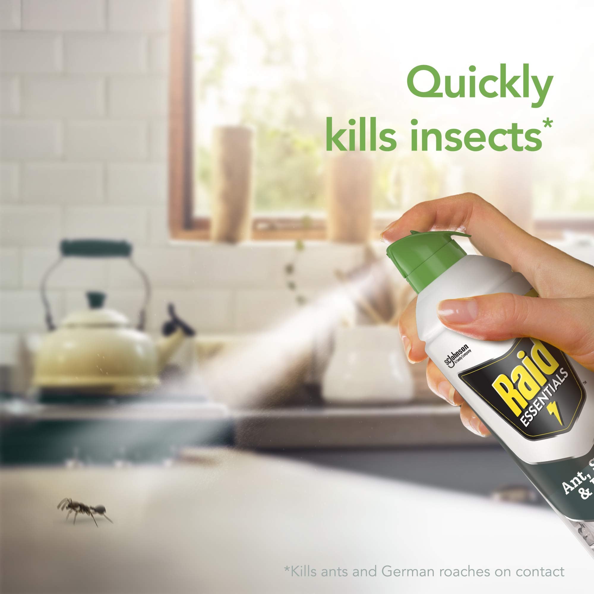 Raid Essentials Ant Spider, and Roach Killer Aerosol Spray, Child & Pet Safe, Kills Insects Quickly, for Indoor Use, 10 oz (Pack of 3)