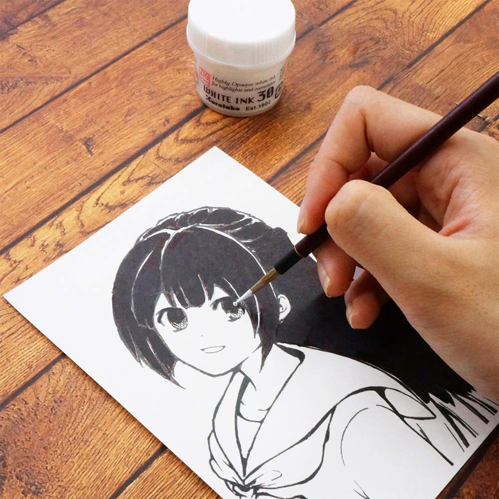 Kuretake ZIG Cartoonist White Ink 30ml, for dip Pen, Brush, Drawing, Calligraphy, Illustration, Lettering, for Professional, Artists, Manga, Made in Japan