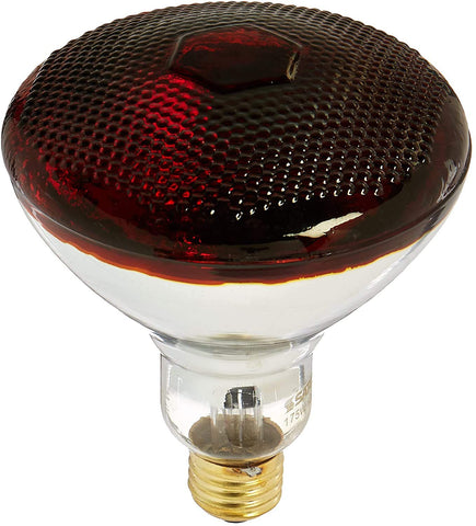 Satco S4751 Medium Light Bulb in Bronze/Dark finish, 5.31 inches