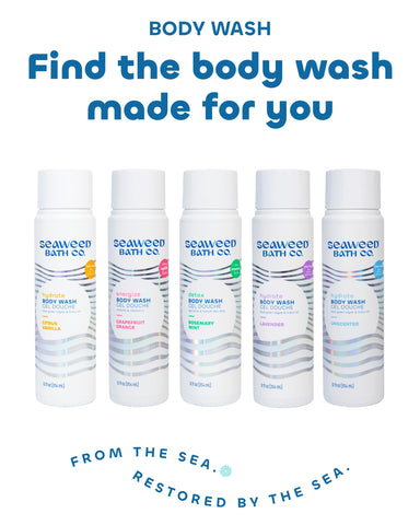 Seaweed Bath Co. Hydrate Body Wash - Lavender - Hydrating Foaming Cleanser with Soothing Natural Ingredients - Vegan, Paraben and Sulfate Free Shower Gel for Men and Women - 12 oz