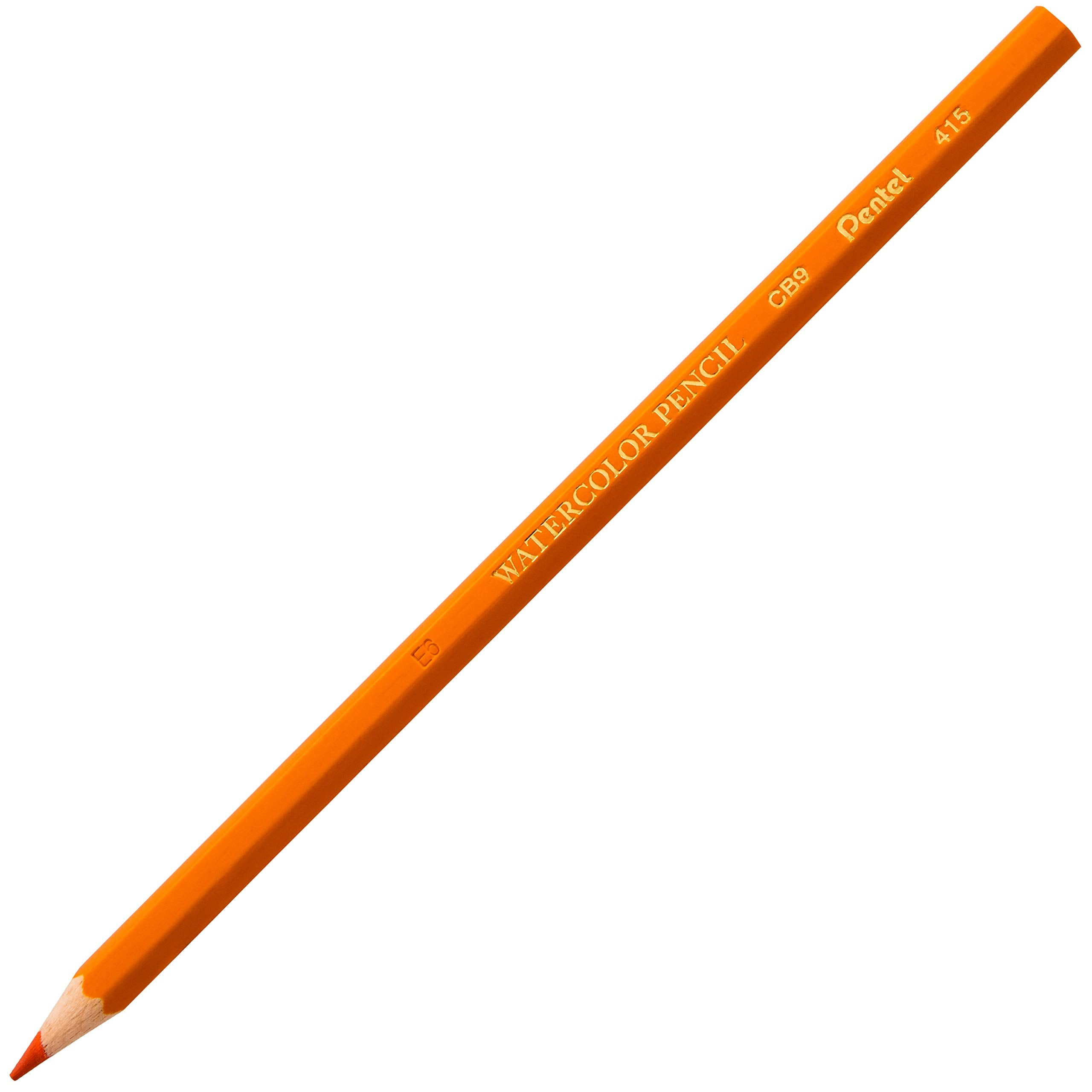 Pentel Arts Watercolor Pencil Set, 12 Color Set (CB9-12)