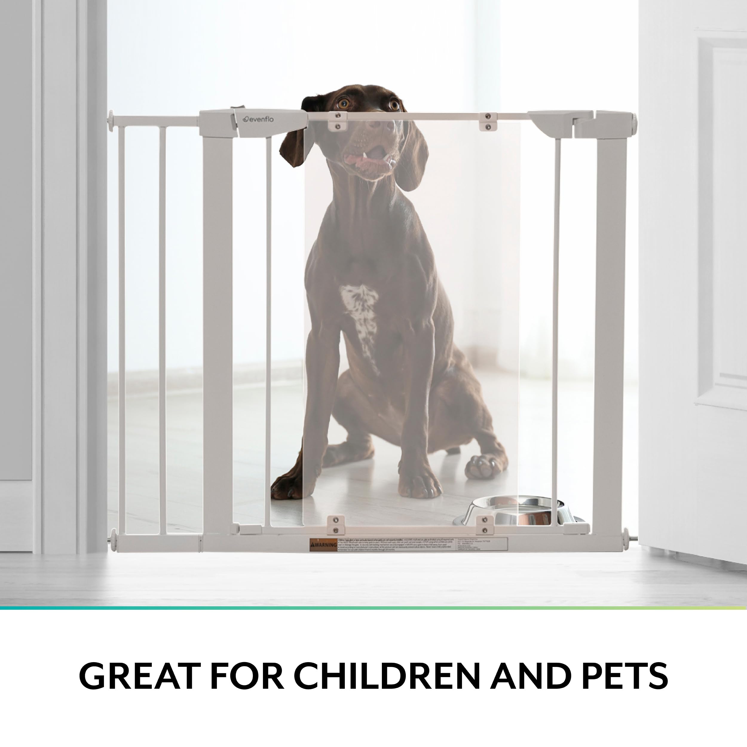 Evenflo Easy Walk-Thru Clear Gate