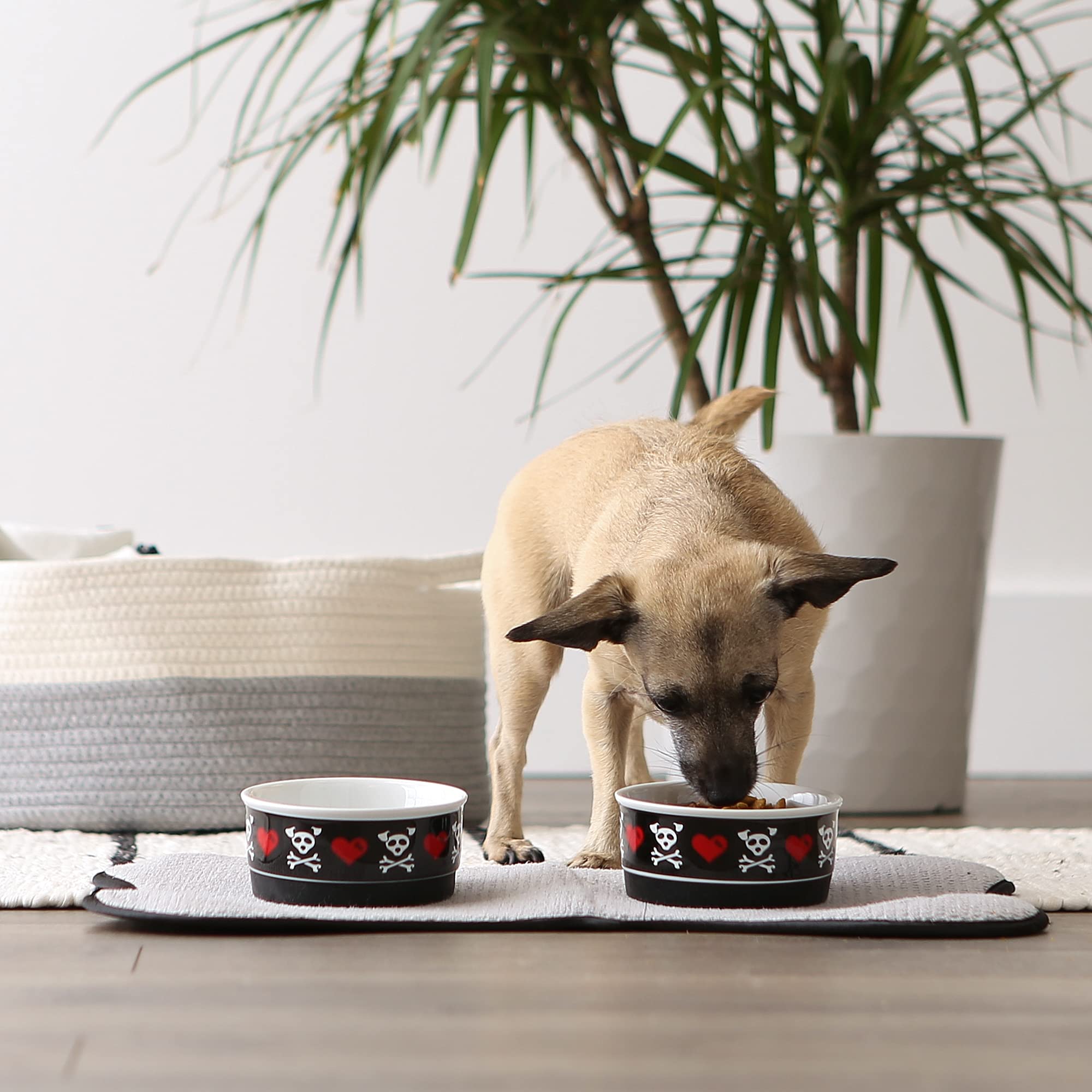 Bone Dry Ceramic Food & Water Bowls for Pets Non-Slip for Secure, Less Messy Feeding, Microwave & Dishwasher Safe, Small Set, 4.25x2, Bad to The Bone, 2 Count