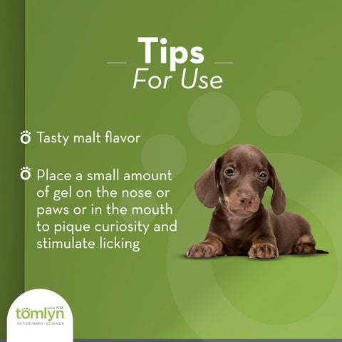 Tomlyn High Calorie Nutritional Gel for Puppies, (Nutri-Cal) 4.25 oz