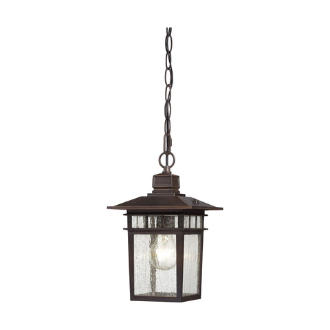Nuvo Lighting 60/4955 Traditional One Light Hanging Lantern from Cove Neck collection in Bronze/Dark finish