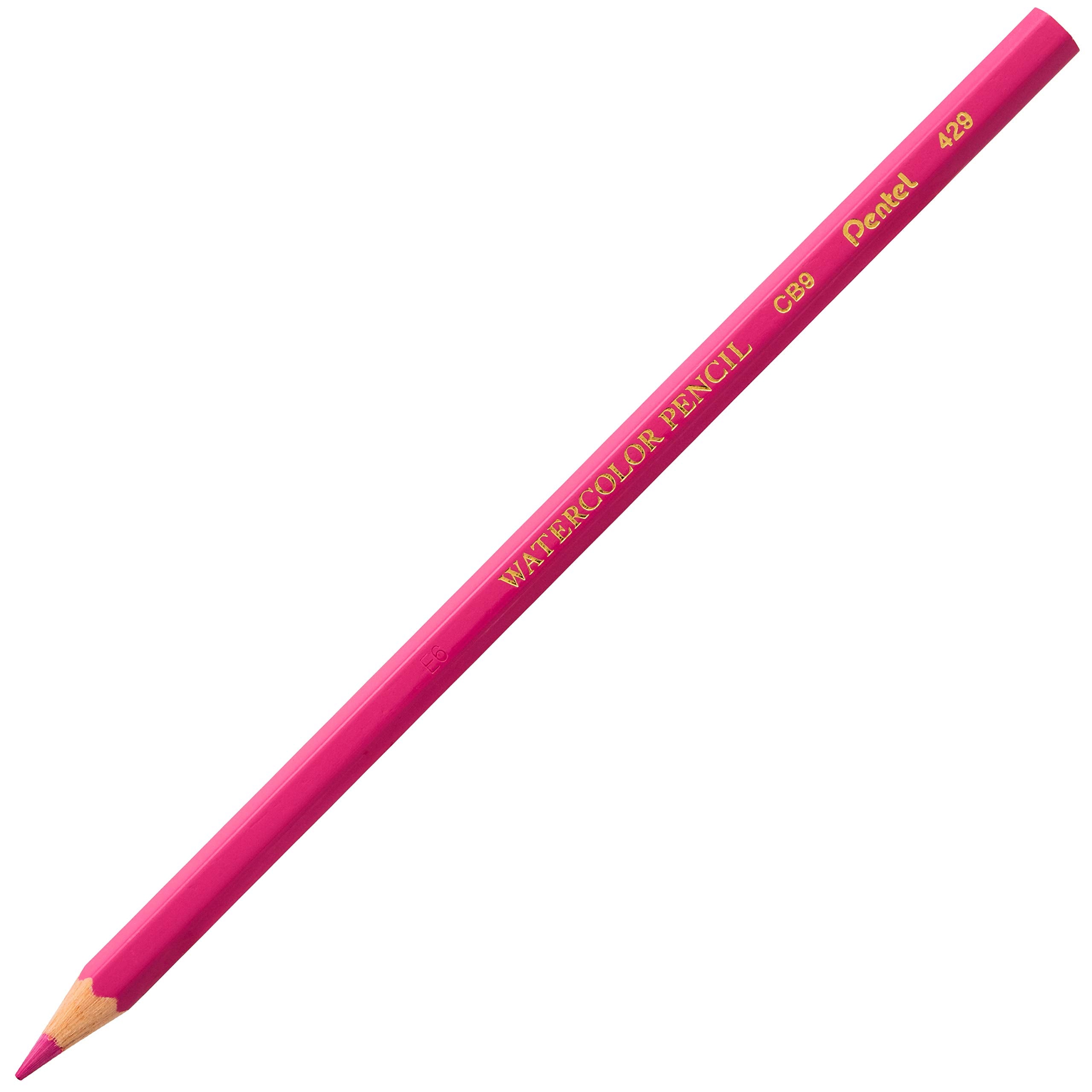Pentel Arts Watercolor Pencil Set, 12 Color Set (CB9-12)