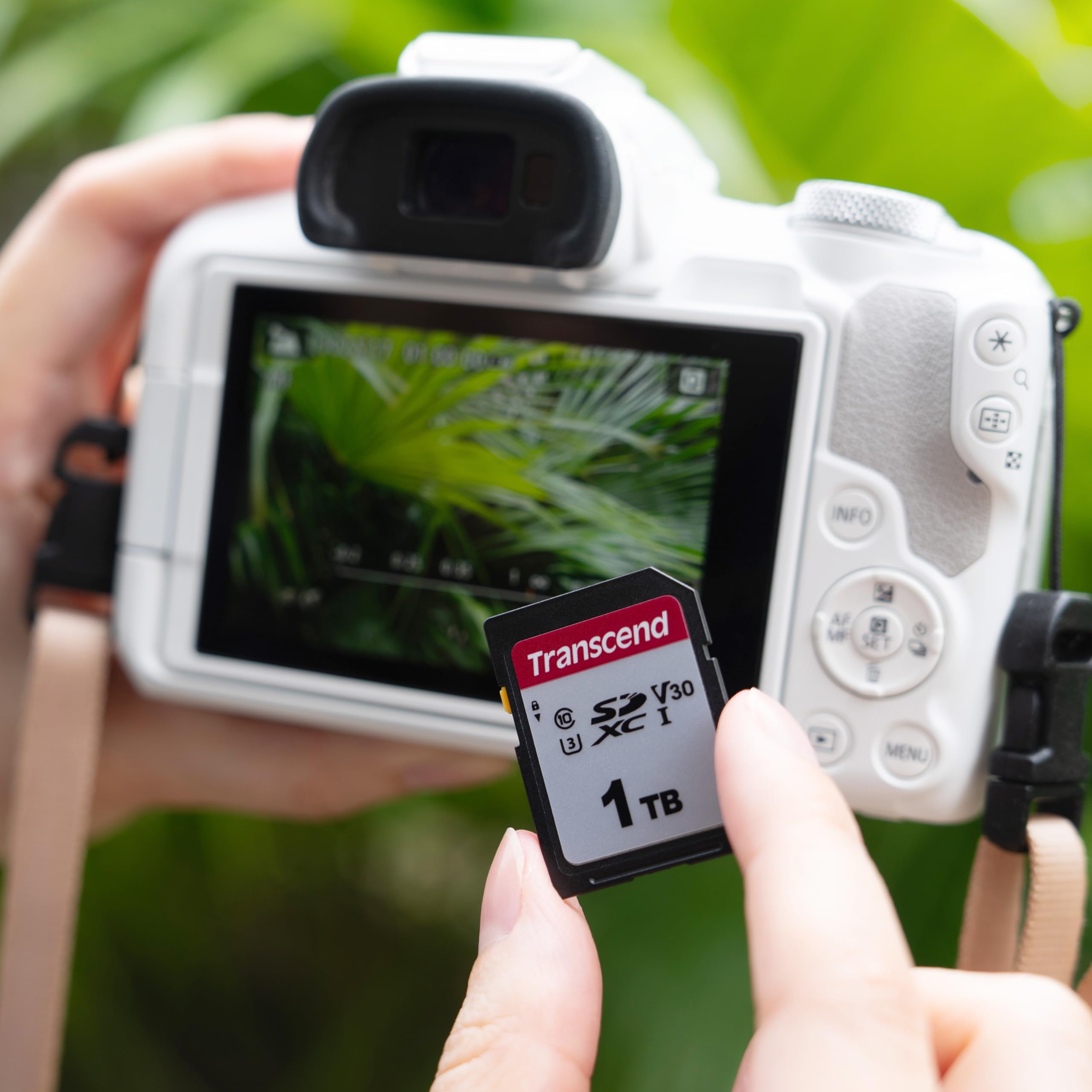 Transcend SDC300S 8GB SDHC SD Card, Compatible with Legacy DSLRs, Trail Cameras, Digital Camcorders & Audio Recorders, Up to 20MB/s, Full HD Video Support, Class 10 Stable Performance Memory Card