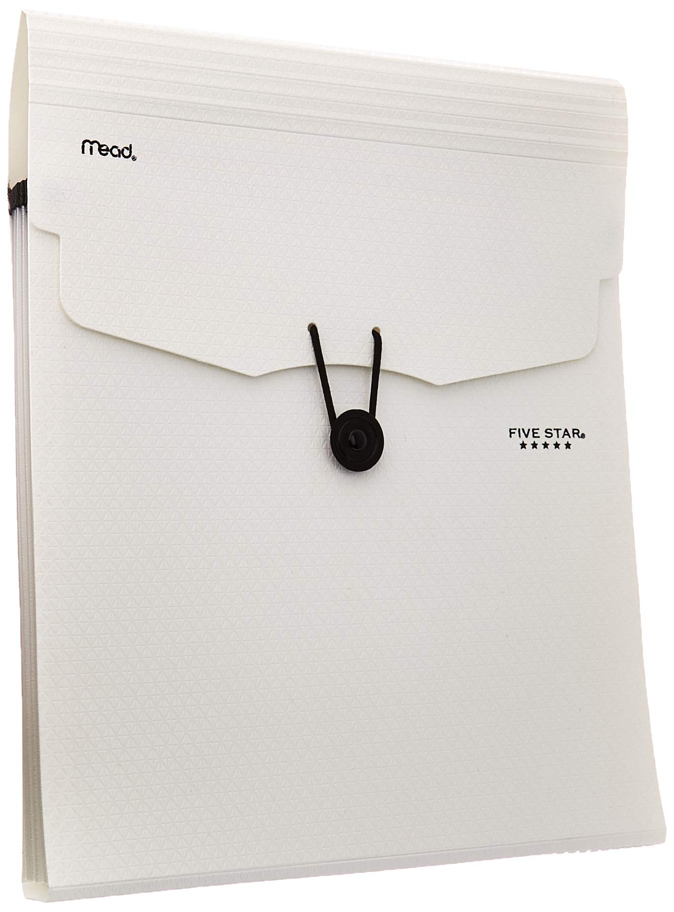 Five Star Expanding File Folder, 5-Pocket Expandable File Folder, Removable Files, (Color May Vary), 1 Count (35176)