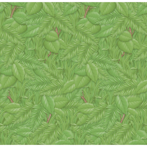 Pacon Fadeless Bulletin Board Art Paper Roll, 48-inch x 50-ft, Tropical Foliage (PAC56255)