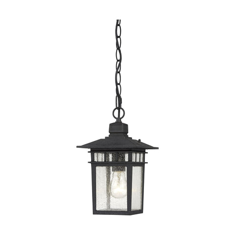 Nuvo Lighting 60/4956 Traditional One Light Hanging Lantern from Cove Neck collection in Black finish