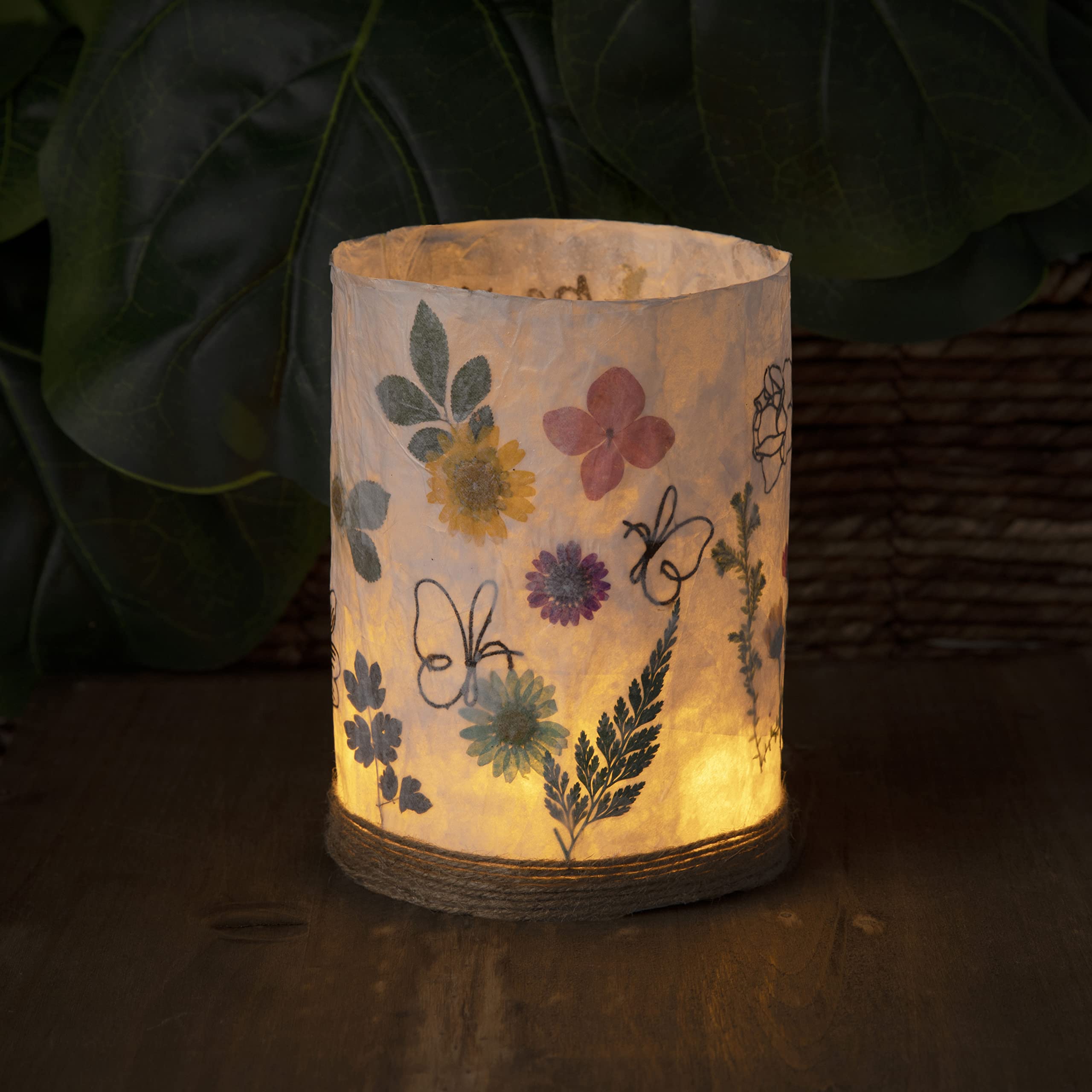Craft Crush Nature DIY Lantern Making Kit - Bring Nature Inside - Garden Decor, Art Project, Creative Activities for Birthday, Parties, School - Art Supplies - Art & Craft Kit for Kids, Teens, Adults