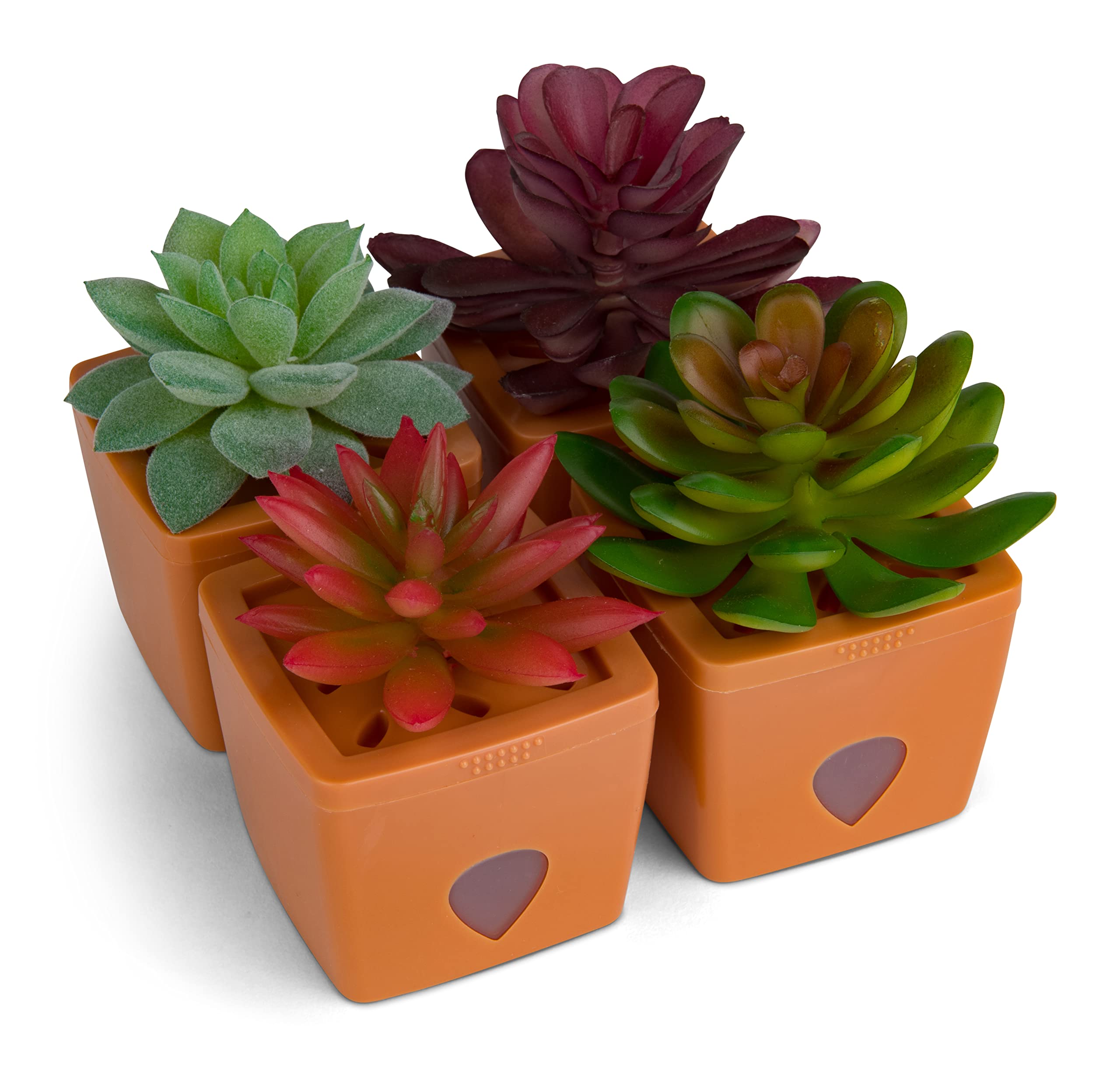 ZendoZones Succulent Fruit Fly Trap – Tranquil Tabitha Design with Terracotta Base – Eco-Friendly Indoor Fruit Fly Control – Easy-to-Use Decorative Trap