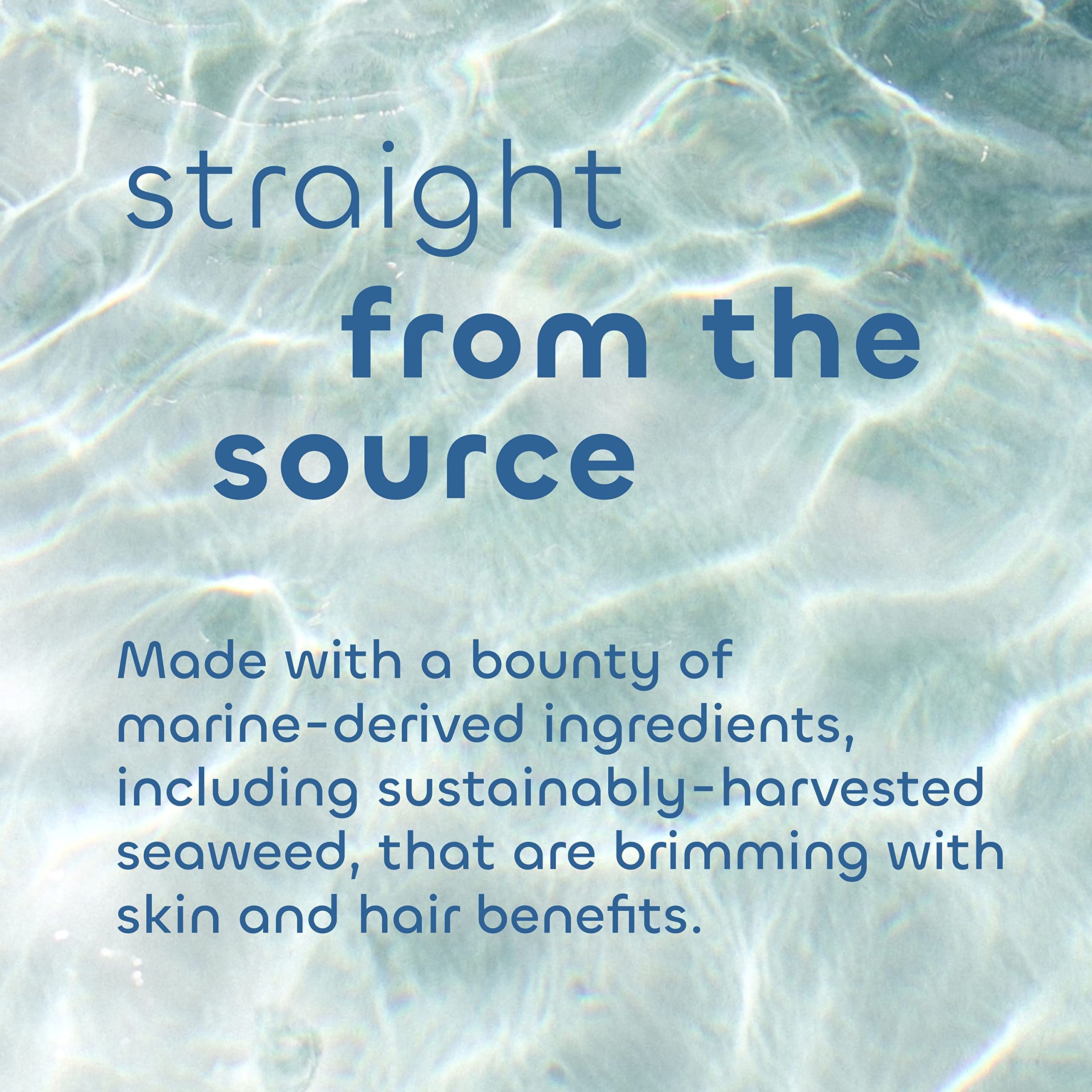 Seaweed Bath Co. Gentle Conditioner, Unscented, 12 Ounce, Sustainably Harvested Seaweed, Aloe, Argan Oil, for Sensitive Scalps