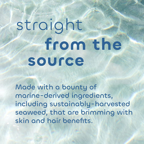 Seaweed Bath Co. Gentle Conditioner, Unscented, 12 Ounce, Sustainably Harvested Seaweed, Aloe, Argan Oil, for Sensitive Scalps