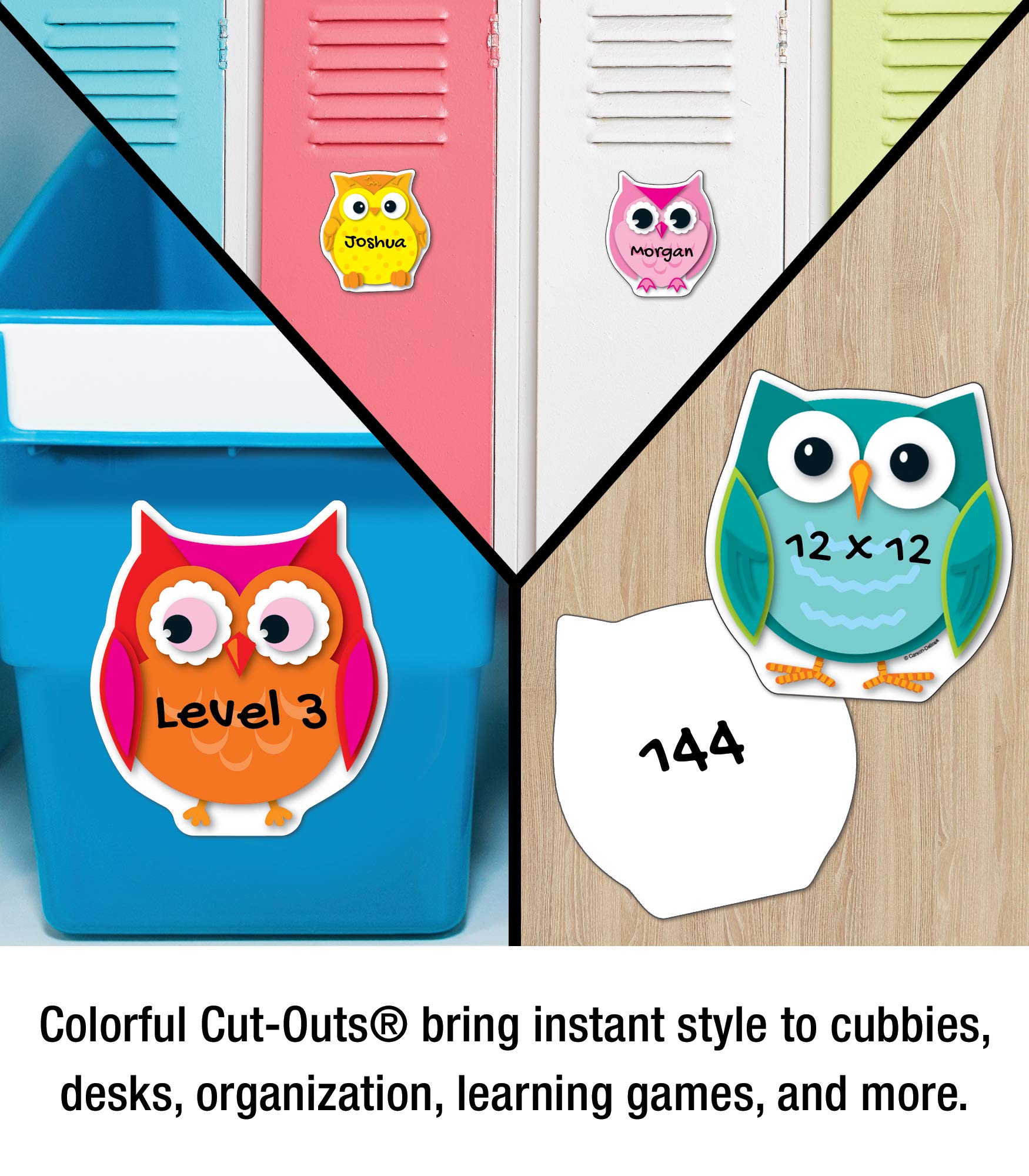 Carson Dellosa 36-Piece Colorful Owl Bulletin Board Cutouts, Colorful Owl Cutouts for Bulletin Board, Bird Classroom Décor, Owl Classroom Décor, and Bulletin Board Decorations