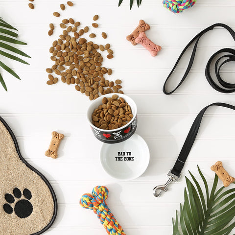 Bone Dry Ceramic Food & Water Bowls for Pets Non-Slip for Secure, Less Messy Feeding, Microwave & Dishwasher Safe, Small Set, 4.25x2, Bad to The Bone, 2 Count