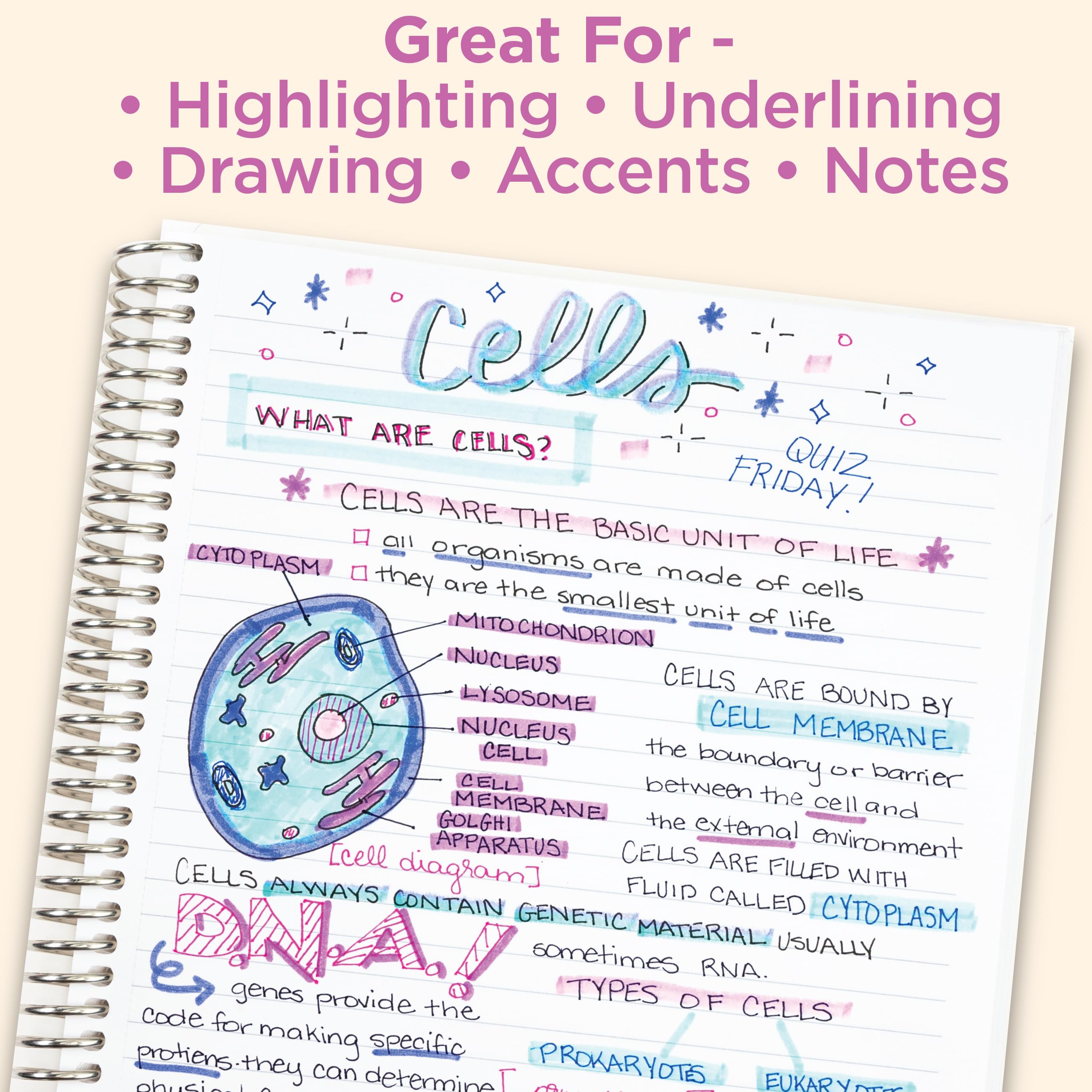 Zebra Pen Mildliner Dual-Tip Highlighter Marker Set, Broad and Fine Tips, No Bleed, Ideal for Bible Highlighting, Journaling, School and Office Supplies, Assorted Soft Hue Ink Colors, 8-Pack (78108)