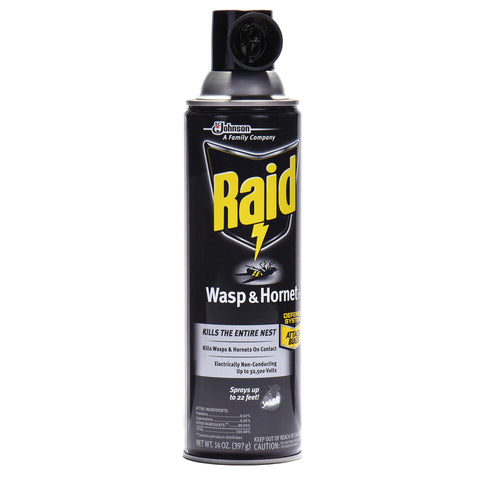 Raid Wasp and Hornet Killer Spray, 14 oz(pack of 3)