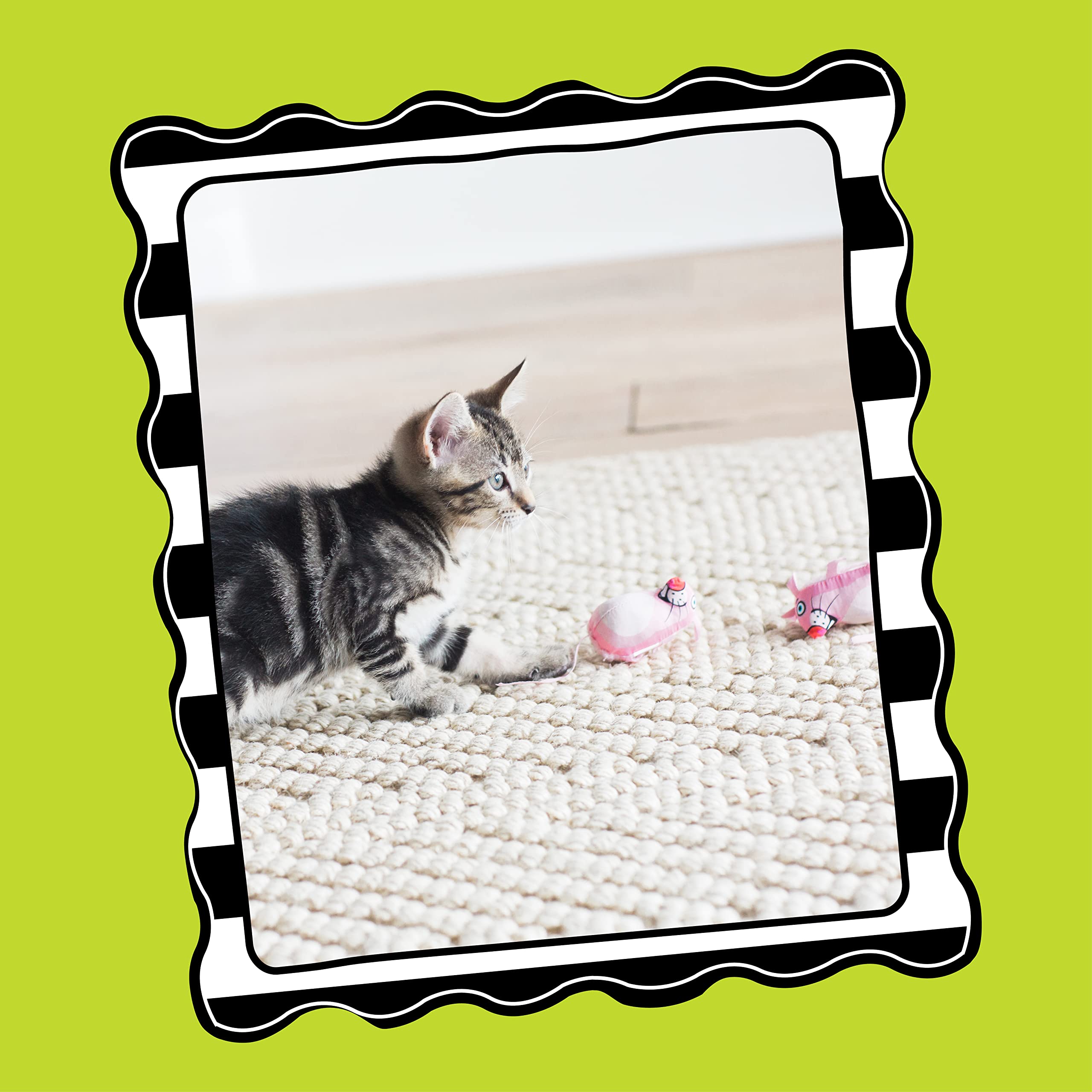 Bamboo Pet CAM650384 Fat Cat Kitty Hoots Eeeks Chic Catnip Toy, Multicolor