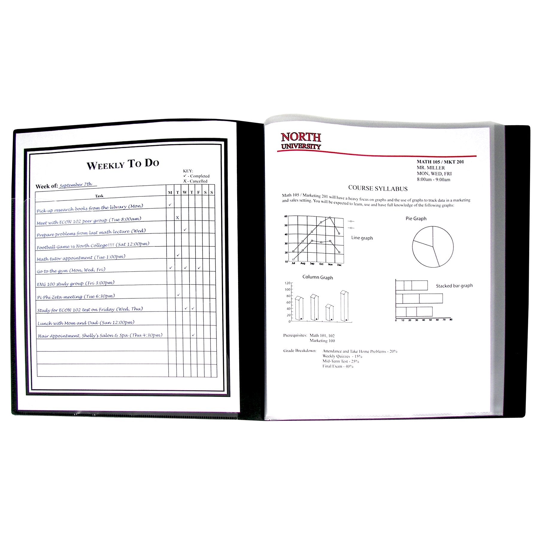 C-Line 12-Pocket Bound Sheet Protector Presentation Book, 24-Page Capacity, For 8.5 x 11-Inch Inserts, Black (33120)