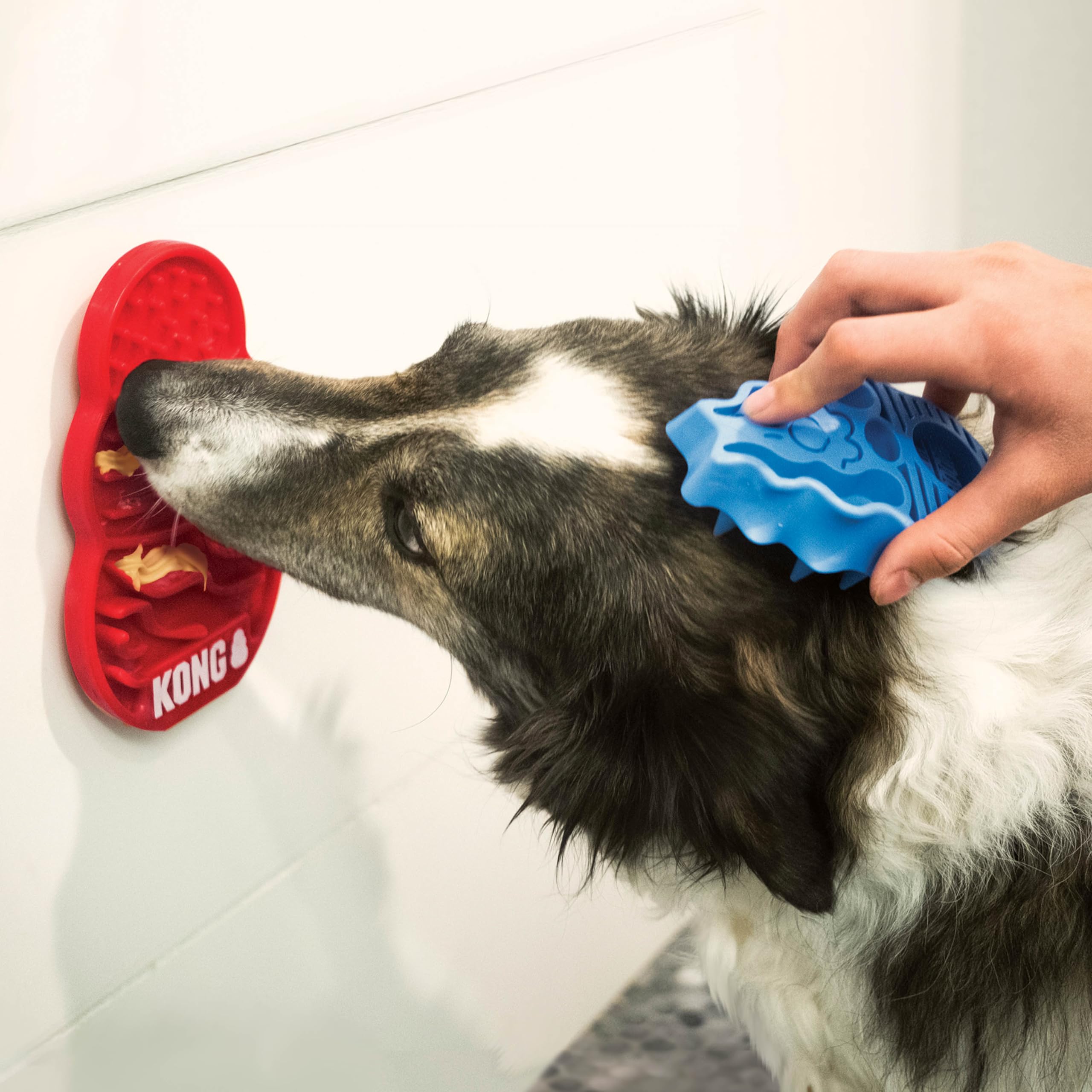 KONG Licks Mat Treat Dispenser with Ridges and Grooves (Small)