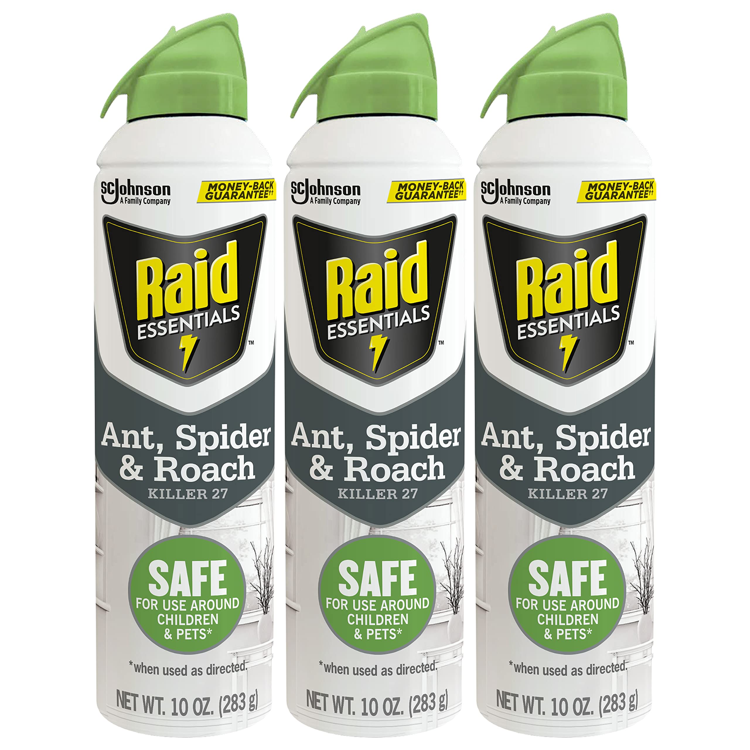 Raid Essentials Ant Spider, and Roach Killer Aerosol Spray, Child & Pet Safe, Kills Insects Quickly, for Indoor Use, 10 oz (Pack of 3)