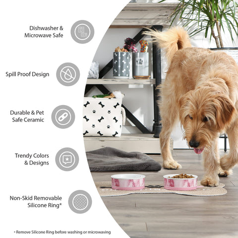 Bone Dry Ceramic Food & Water Bowls for Pets Non-Slip for Secure, Less Messy Feeding, Microwave & Dishwasher Safe, Small Set, 4.25x2, Bad to The Bone, 2 Count