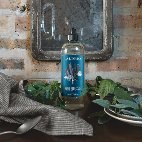 Caldrea Dish Soap, Biodegradable Dishwashing Liquid made with Soap Bark and Aloe Vera, Basil Blue Sage Scent, 16 oz