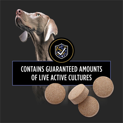 Purina Pro Plan Veterinary Supplements FortiFlora Daily Probiotics for Dogs Chewable Tablets for Digestive Gut Health and Diarrhea - 45 ct. Canister