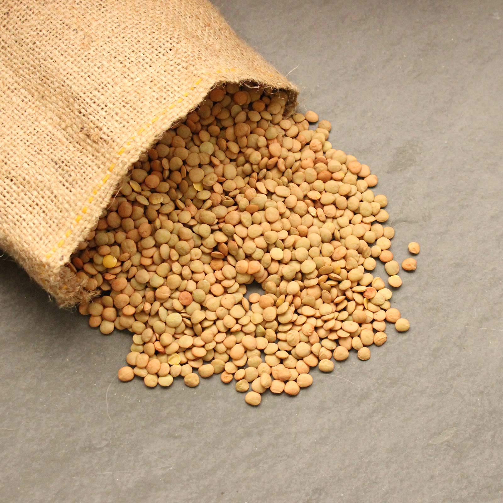Organic Dried Green Lentil Sprouting Seed: 8 Oz - Dry Lentils for Planting Garden Seeds, Soup, Cooking or Sprout Salad, Sprouts