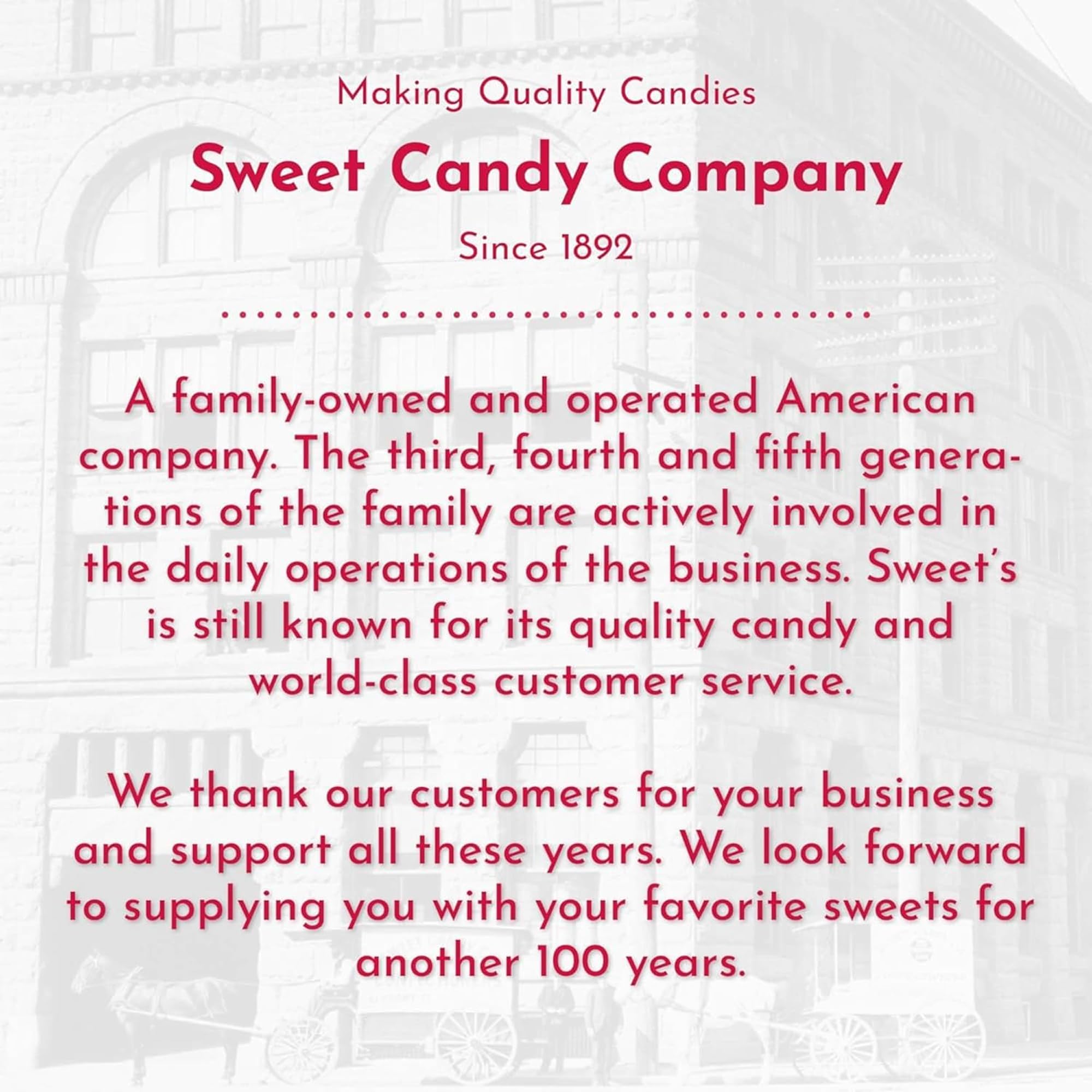 Sweet Candy Company Salt Water Taffy Individually Wrapped - Salt Water Taffy Candy Bulk, Old Fashioned Assorted Flavors, Soft and Chewy Candy Mix, Gluten Free Variety Pack - 24 oz Bag