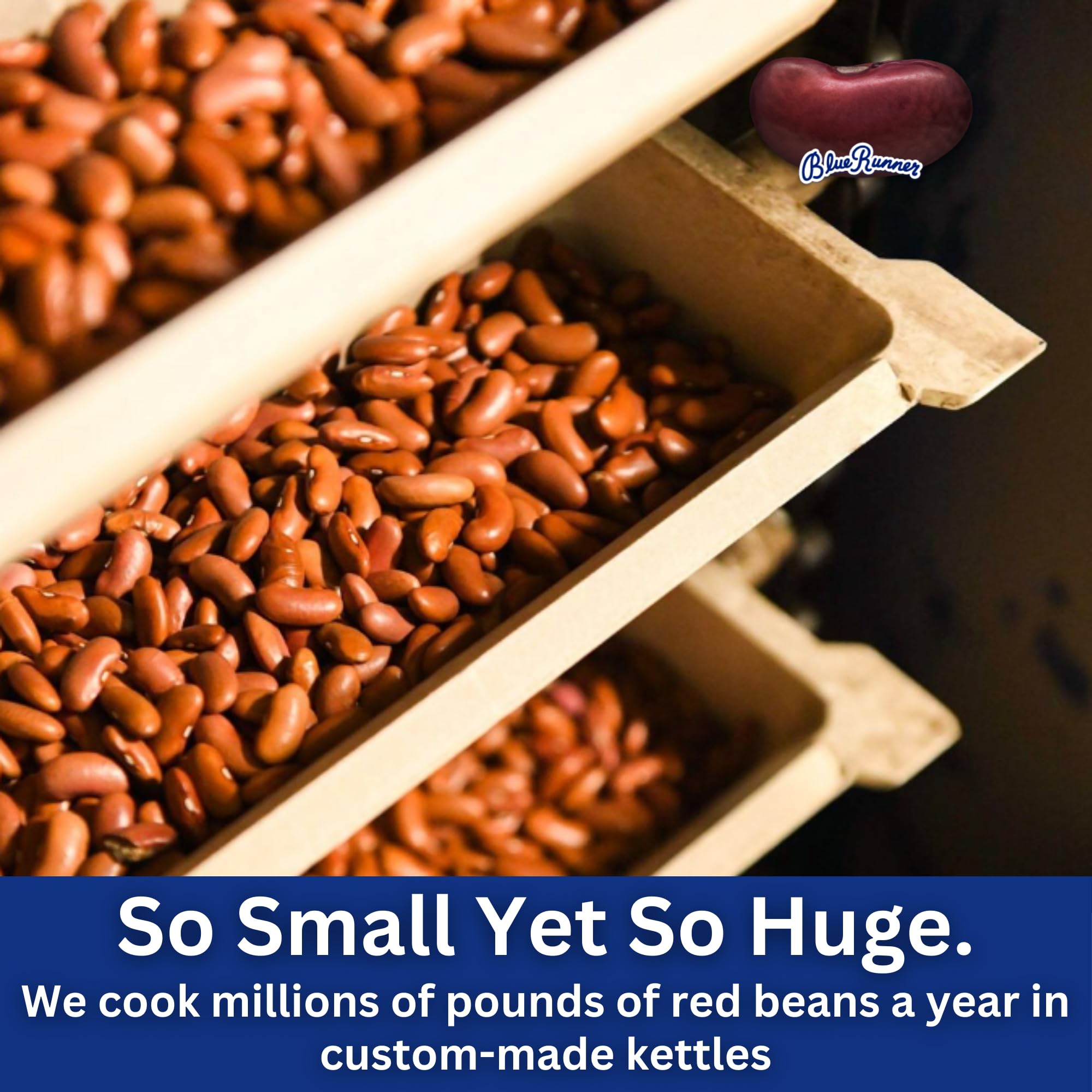Blue Runner Creole Cream Style Red Beans 27oz Can