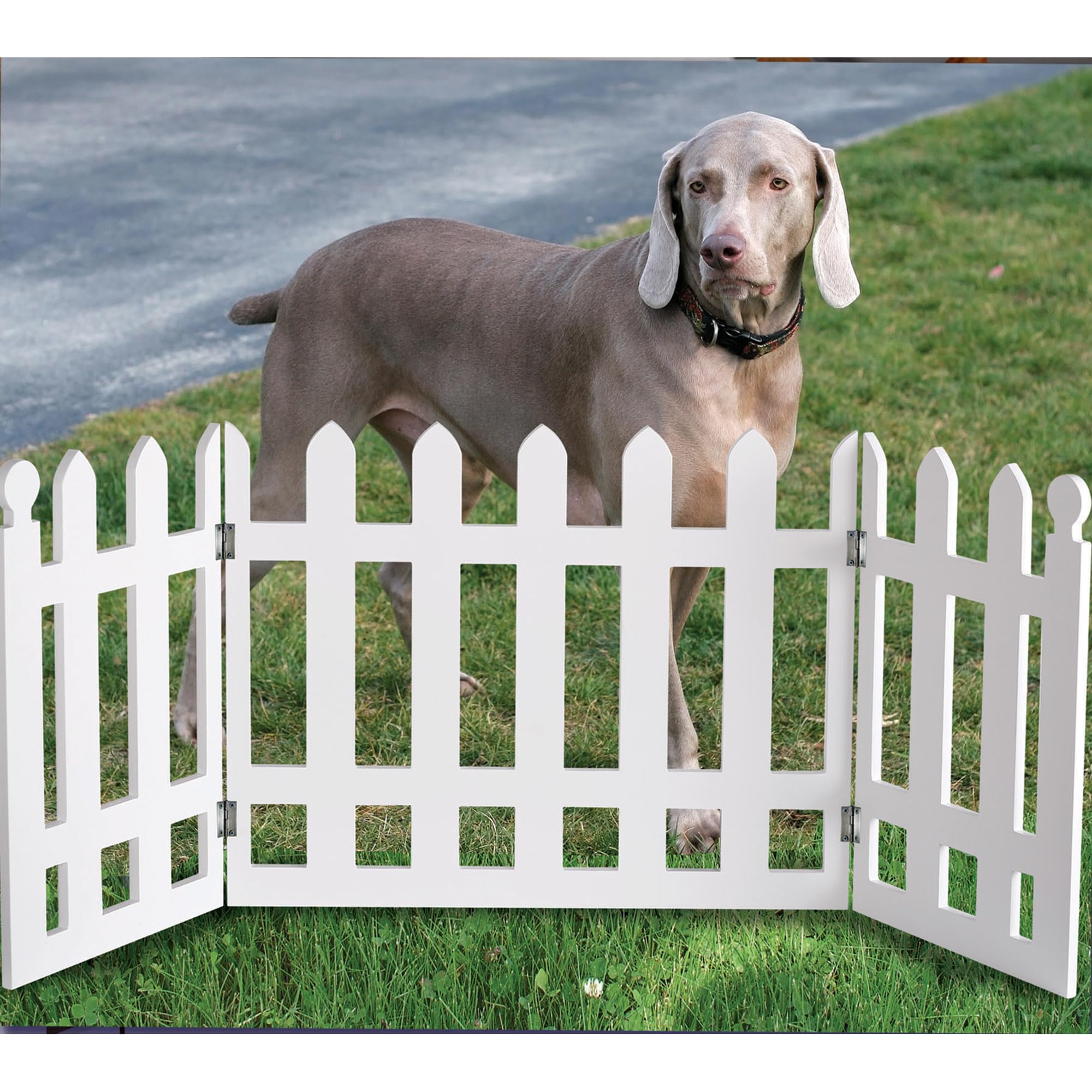 White Picket Fence Folding Pet Gate