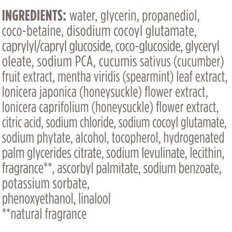 Burt's Bees Refreshing Foaming Face Cleanser and Face Wash with Cucumber and Mint, 4.8 Fluid
