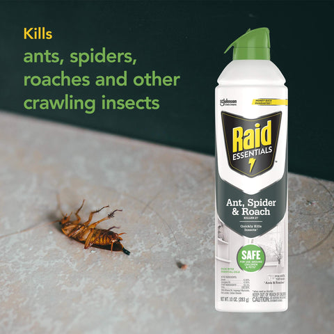 Raid Essentials Ant Spider, and Roach Killer Aerosol Spray, Child & Pet Safe, Kills Insects Quickly, for Indoor Use, 10 oz (Pack of 3)