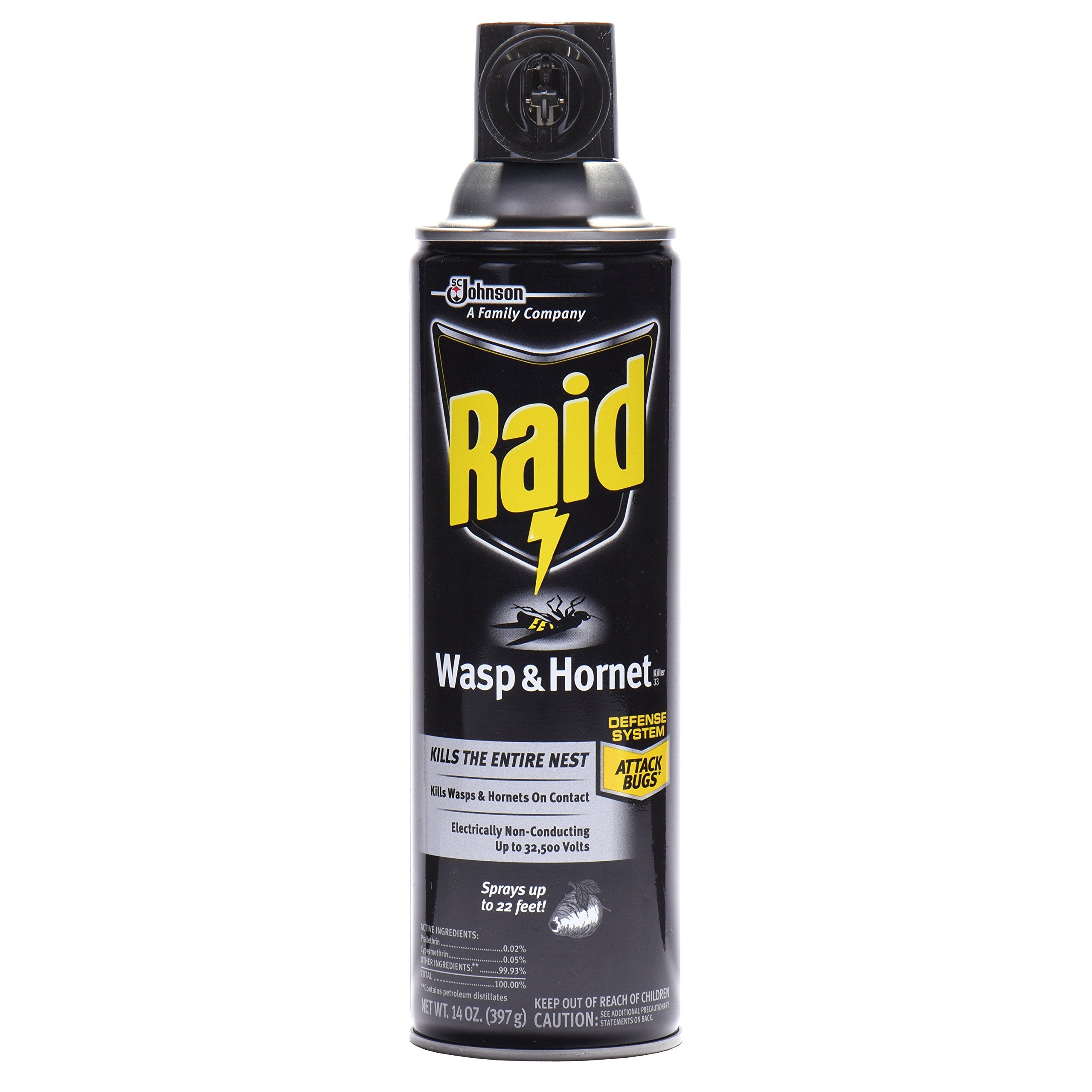 Raid Wasp and Hornet Killer Spray, 14 oz(pack of 3)